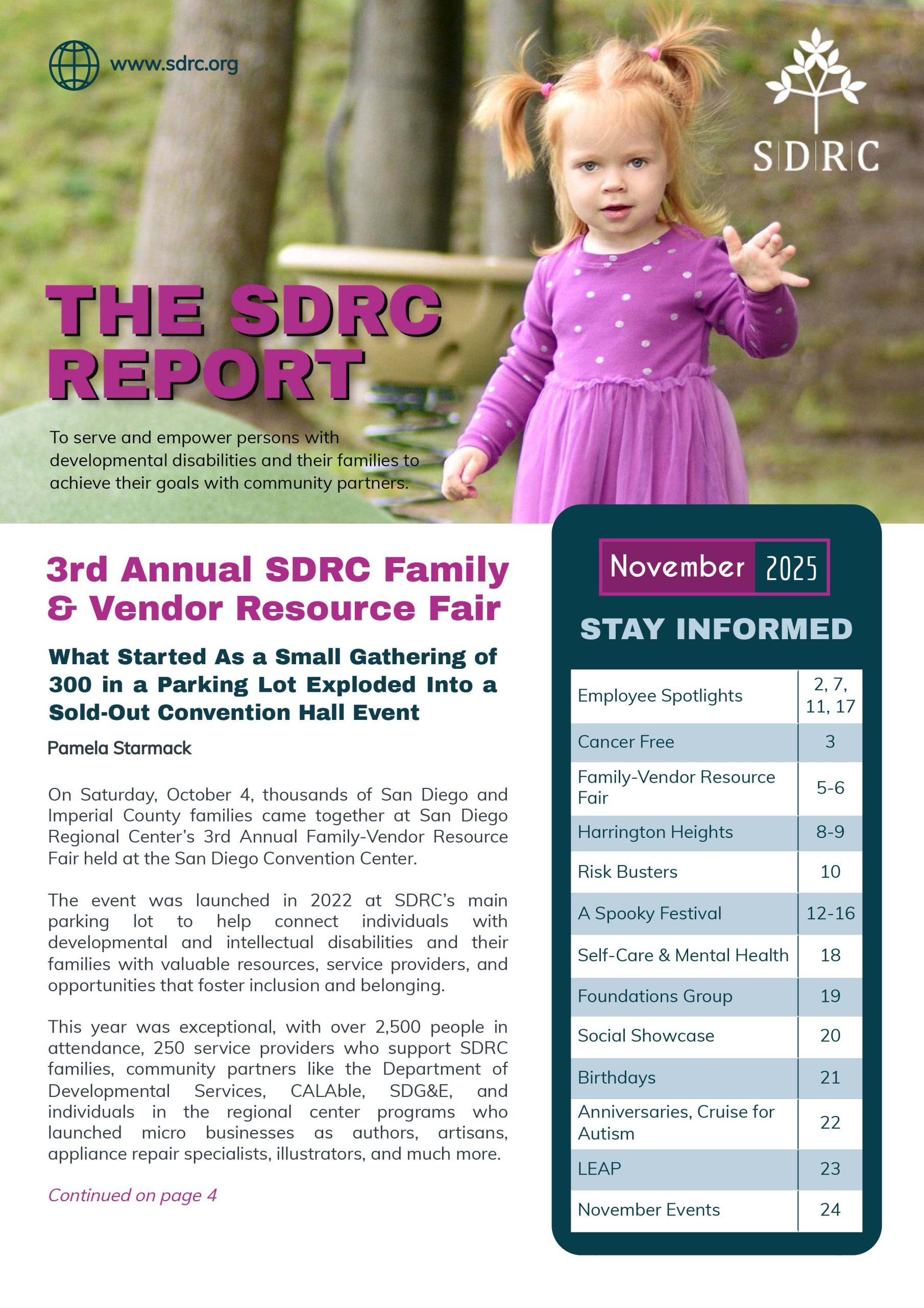Thumbnail of the SDRC Report of the month of novermber 2025